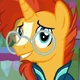 FIM Sunburst