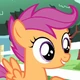 FIM Scootaloo