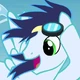 FIM Soarin