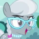 FIM Silver Spoon