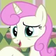 FIM Twinkleshine