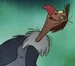 Ziggy-the-vulture-1071704-normal