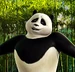 Kai (panda)