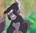 Flynt-mungo-personnage-tarzan-02