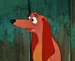 Dachsie-personnage-la-belle-et-le-clochard-02