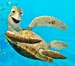Crush-FindingNemo3D