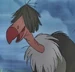 Dizzy-the-vulture-1073263-normal