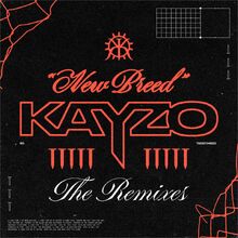 Kayzo remixes