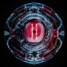 VOYD VOL. 2.5