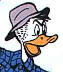 Wastel Duck1.jpg