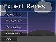 The expert races.