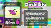 Purple Duck info