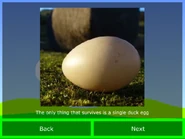 "The only thing that survives is a single duck egg."