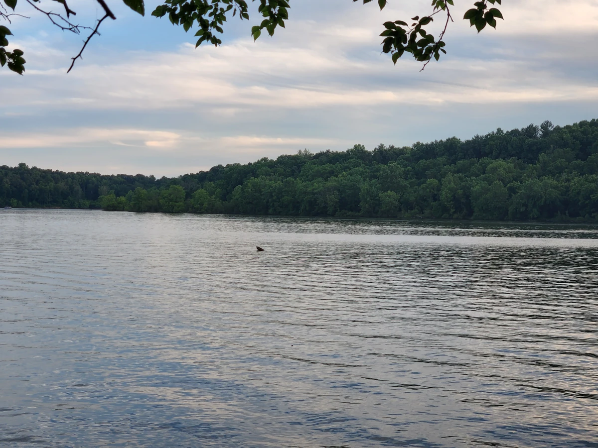 Paint Creek Camping Trip Duckpond Wiki Fandom