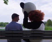 Panda Taking Off Her Mask