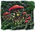 Poisonous Mushroom