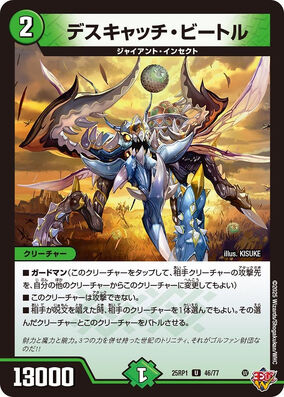284?cb=20250411142524