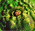 Spiral Grass artwork.jpg (117 KB) Spiral Grass