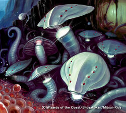 Saucer-Head Shark/Gallery | Duel Masters Wiki | Fandom