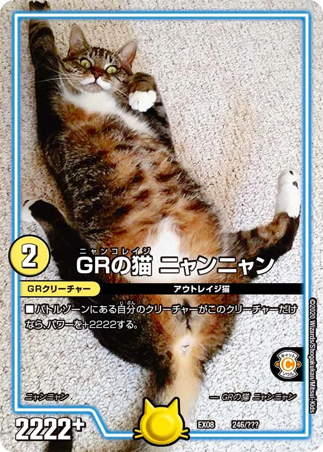 ニャン&ケロヨン Nyannyan, Nyanko Rage GR | Duel Masters Wiki | Fandom