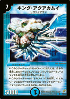 King Aquakamui S2/S5