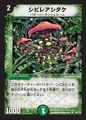 Poisonous Mushroom 69/110