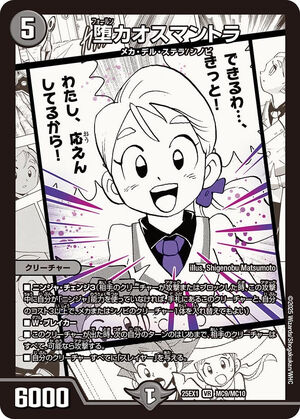 トモ様　プラナロム 真正ラベンダー、フランキンセンス、マジョラム ラベンダー・アングスティフォリア – プラナロム