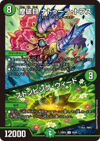 Natura Tops, Machkind / Stomping Weed 50/60