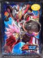 Limited Card Protect [Redzone, Roaring Invasion]