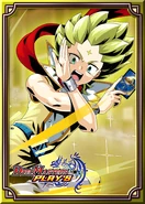 Card Sleeves