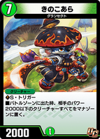 Kinokoala