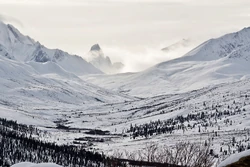 Dempster Highway Yukon