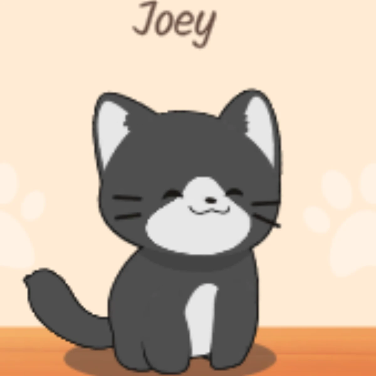 Joey (cat) Duet Cats Wiki Fandom