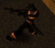 Lizard1.jpg