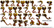 Collection of King Cobra sprites ripped from the game by Dolphman from the Spriters resource