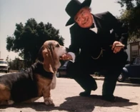 Abraham Lincoln Hogg an Flash