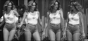 Catherine-bach - Daisy Dukes