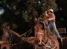 Billy Ray-0.png