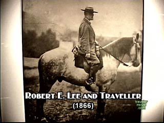 Traveller (horse) | The Dukes of Hazzard Wiki | Fandom