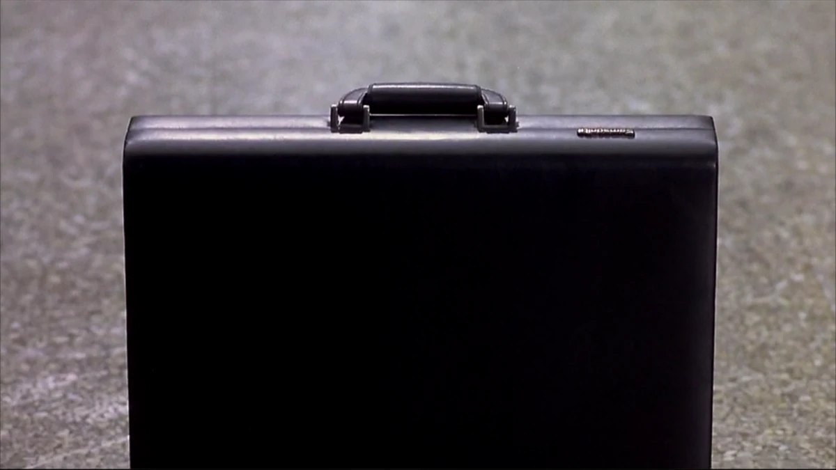 Mary's Briefcase Dumb and dumber Wiki Fandom