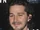 Shia LaBeouf