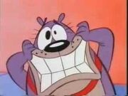 Kitty the beaver.jpg