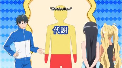 Metabolism.png