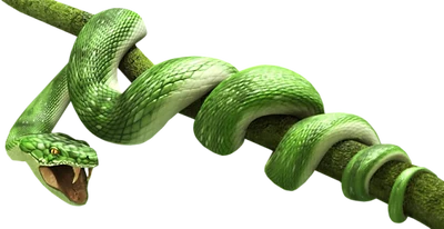 CeciTransparent