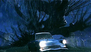 Whomping Willow | Dumbledore's Army Role-Play Wiki | Fandom