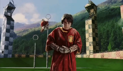 CoordinatedDisguisedAnhinga-size restricted