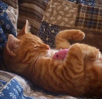 Homedepot.png (579 KB)