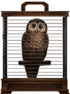 MM Brown Owl
