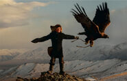 DARP - Eagle Huntress 09