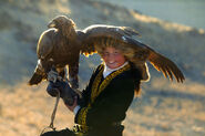 DARP - Eagle Huntress 04